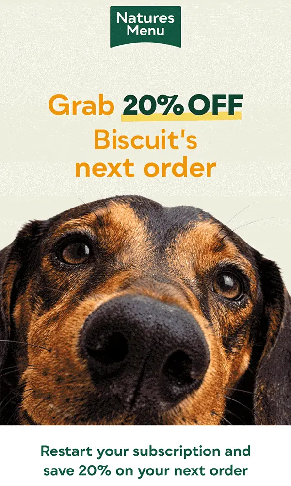 Personalised, animated Nature's Menu reactivation hero: Hang on Michelle, then Grab 20% off Biscuit's next order, over a close-up of a dog